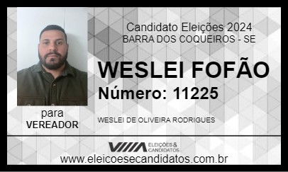 Candidato WESLEI FOFÃO 2024 - BARRA DOS COQUEIROS - Eleições