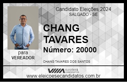 Candidato CHANG TAVARES 2024 - SALGADO - Eleições