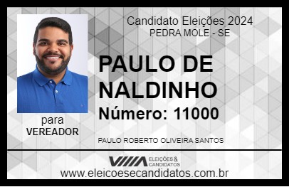 Candidato PAULO DE NALDINHO 2024 - PEDRA MOLE - Eleições