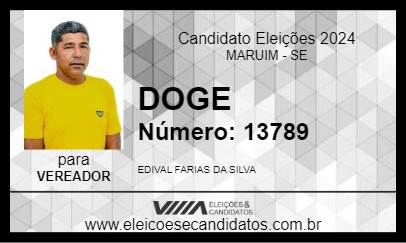 Candidato DOGE 2024 - MARUIM - Eleições