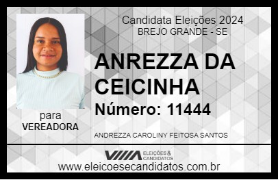 Candidato ANDREZZA DA CEICINHA 2024 - BREJO GRANDE - Eleições