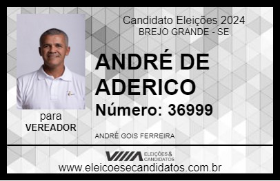 Candidato ANDRÉ DE ADERICO   2024 - BREJO GRANDE - Eleições