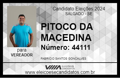 Candidato PITOCO DA MACEDINA 2024 - SALGADO - Eleições