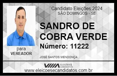 Candidato SANDRO DE COBRA VERDE 2024 - SÃO DOMINGOS - Eleições