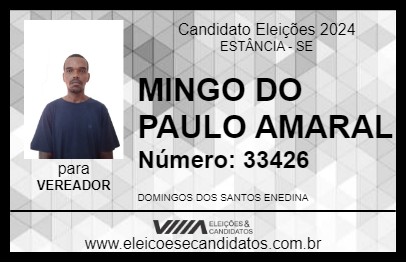 Candidato MINGO DO PAULO AMARAL 2024 - ESTÂNCIA - Eleições