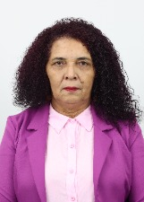 ROSA DO CONSELHO 2024 - PAULÍNIA