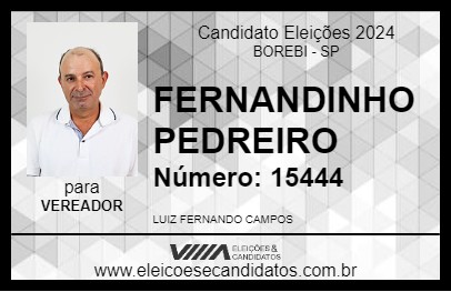 Candidato FERNANDINHO PEDREIRO 2024 - BOREBI - Eleições