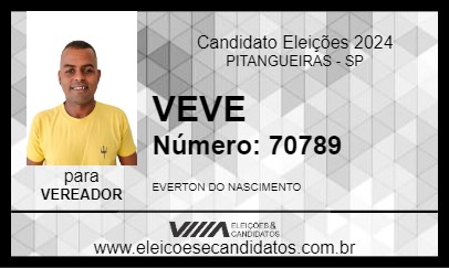 Candidato VEVE 2024 - PITANGUEIRAS - Eleições