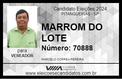 Candidato MARROM DO LOTE 2024 - PITANGUEIRAS - Eleições