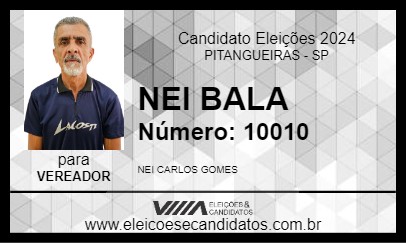 Candidato NEI BALA 2024 - PITANGUEIRAS - Eleições