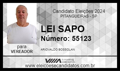 Candidato LEI SAPO 2024 - PITANGUEIRAS - Eleições