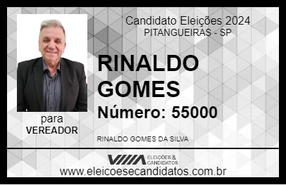 Candidato RINALDO GOMES 2024 - PITANGUEIRAS - Eleições