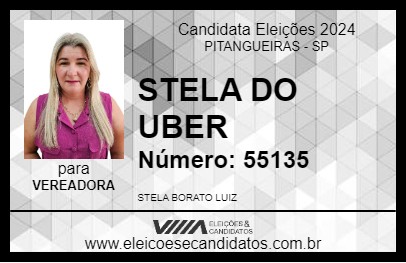 Candidato STELA DO UBER 2024 - PITANGUEIRAS - Eleições