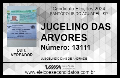 Candidato JUCELINO DAS ARVORES 2024 - SANTÓPOLIS DO AGUAPEÍ - Eleições