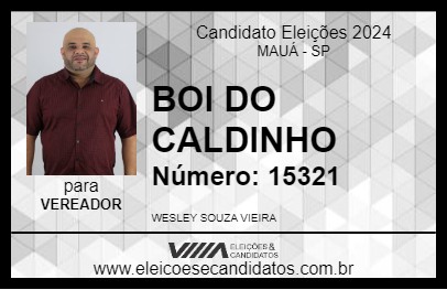 Candidato BOI DO CALDINHO 2024 - MAUÁ - Eleições