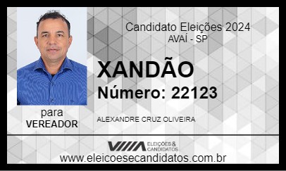 Candidato XANDÃO 2024 - AVAÍ - Eleições