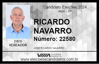 Candidato RICARDO NAVARRO 2024 - AVAÍ - Eleições