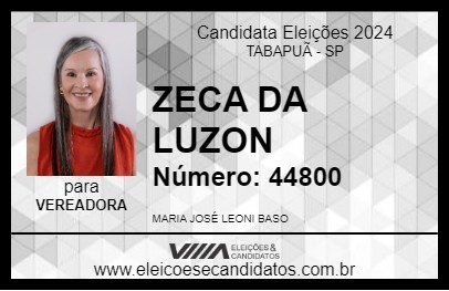 Candidato ZECA DA LUZON 2024 - TABAPUÃ - Eleições