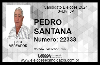 Candidato PEDRO SANTANA 2024 - GÁLIA - Eleições