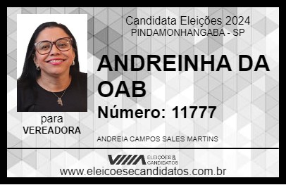 Candidato ANDREINHA DA OAB 2024 - PINDAMONHANGABA - Eleições