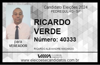 Candidato RICARDO VERDE 2024 - PEDREGULHO - Eleições