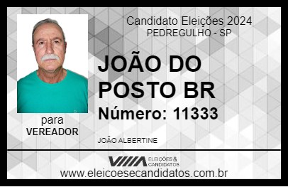 Candidato JOÃO DO POSTO BR 2024 - PEDREGULHO - Eleições