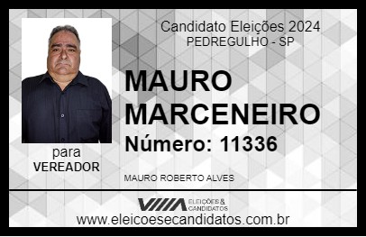 Candidato MAURO MARCENEIRO 2024 - PEDREGULHO - Eleições