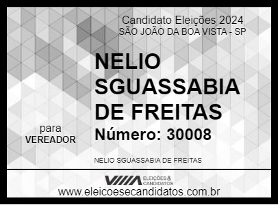 Candidato NELIO SGUASSABIA DE FREITAS 2024 - SÃO JOÃO DA BOA VISTA - Eleições