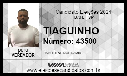 Candidato TIAGUINHO 2024 - IBATÉ - Eleições