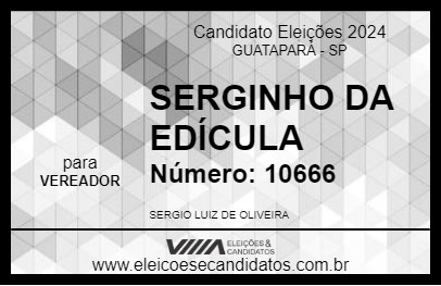 Candidato SERGINHO DA EDÍCULA 2024 - GUATAPARÁ - Eleições