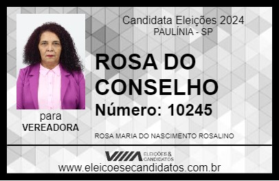 Candidato ROSA DO CONSELHO 2024 - PAULÍNIA - Eleições