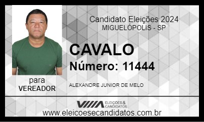 Candidato CAVALO 2024 - MIGUELÓPOLIS - Eleições