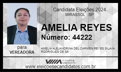 Candidato AMELIA REYES 2024 - MIRASSOL - Eleições