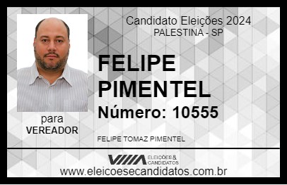 Candidato FELIPE PIMENTEL 2024 - PALESTINA - Eleições