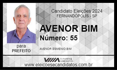 Candidato AVENOR BIM 2024 - FERNANDÓPOLIS - Eleições