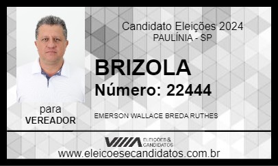 Candidato BRIZOLA 2024 - PAULÍNIA - Eleições