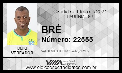 Candidato BRÉ 2024 - PAULÍNIA - Eleições