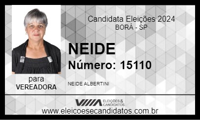 Candidato NEIDE 2024 - BORÁ - Eleições