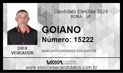 Candidato GOIANO 2024 - BORÁ - Eleições