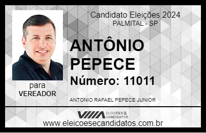 Candidato PROFESSOR ANTONIO PEPECE 2024 - PALMITAL - Eleições