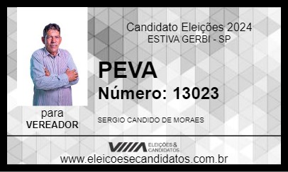 Candidato PEVA 2024 - ESTIVA GERBI - Eleições