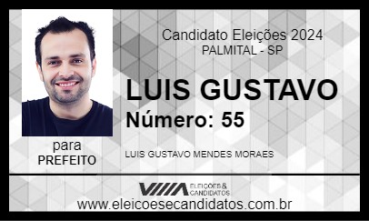 Candidato LUIS GUSTAVO 2024 - PALMITAL - Eleições