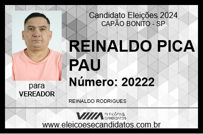 Candidato REINALDO PICA PAU 2024 - CAPÃO BONITO - Eleições