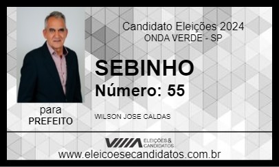 Candidato SEBINHO 2024 - ONDA VERDE - Eleições