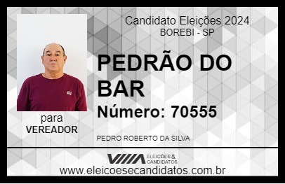 Candidato PEDRÃO DO BAR 2024 - BOREBI - Eleições