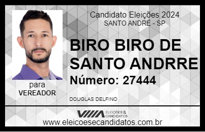 Candidato BIRO BIRO DE SANTO ANDRÉ 2024 - SANTO ANDRÉ - Eleições