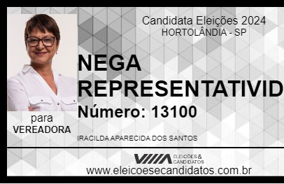 Candidato NEGA REPRESENTATIVIDADE 2024 - HORTOLÂNDIA - Eleições