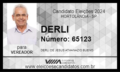 Candidato DERLI 2024 - HORTOLÂNDIA - Eleições