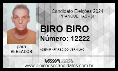 Candidato BIRO BIRO 2024 - PITANGUEIRAS - Eleições