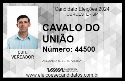 Candidato CAVALO DO UNIÃO 2024 - OUROESTE - Eleições